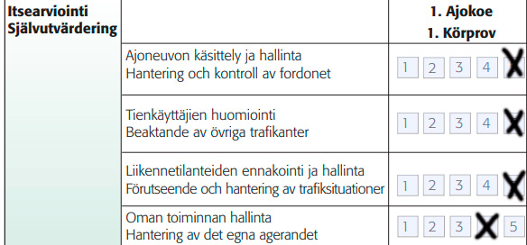 Ajokokeen itsearviointilomake malli